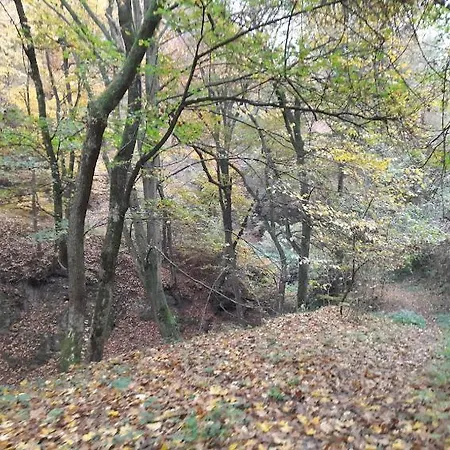 Tahi 公寓