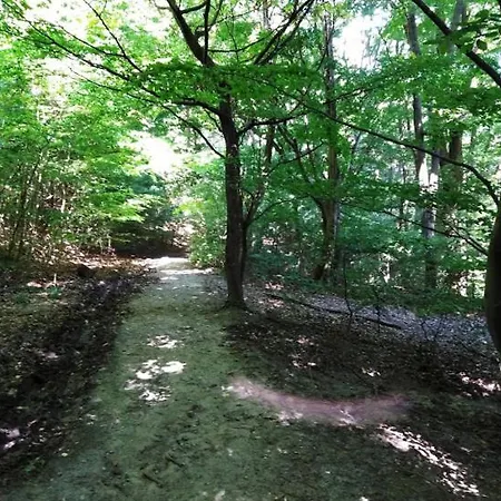 Tahi 公寓 *